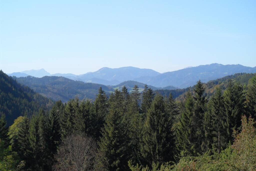 Alpine Guesthouse: Charming Forest Retreat Stanz Im Murztal Exterior photo